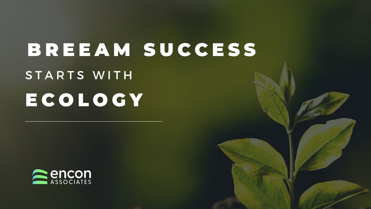 Ecology in BREEAM Enhancing Biodiversity for Higher BREEAM Credit Scores