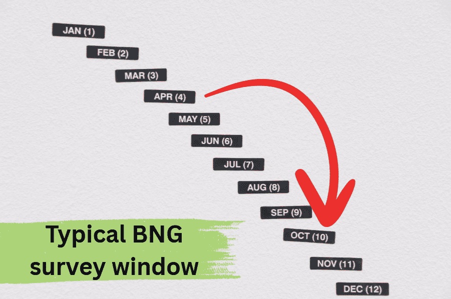 Typical BNG survey window